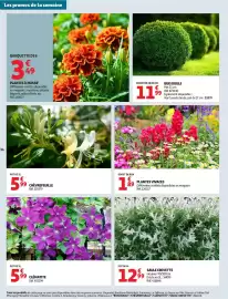 Catalogue Auchan Drive page 34