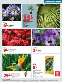 Catalogue Auchan Direct page 35