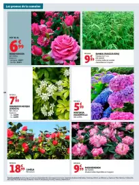 Catalogue Auchan Drive page 48