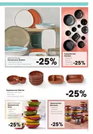 Hanos folder Pagina 9