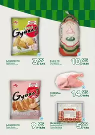 Amazing Oriëntal folder Pagina 17