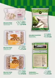 Amazing Oriëntal folder Pagina 19