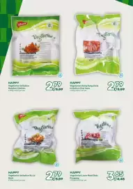 Amazing Oriëntal folder Pagina 20