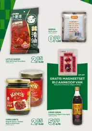 Amazing Oriëntal folder Pagina 30