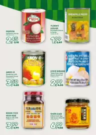 Amazing Oriëntal folder Pagina 39