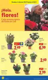 Catálogo Lidl semana 12 Página 44