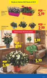 Catálogo Lidl semana 12 Página 45