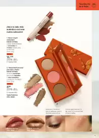 Folleto Yanbal Página 19