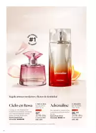 Folleto Yanbal Página 44