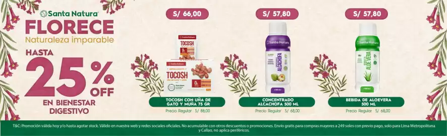 Catálogo Santa Natura Página 11