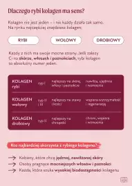 Olini gazetka Strona 7