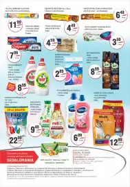 Sedal gazetka Strona 6