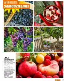 OBI gazetka Strona 105