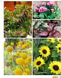 OBI gazetka Strona 85