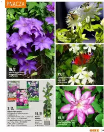 OBI gazetka Strona 89