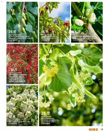 OBI gazetka Strona 97