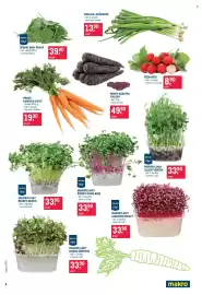 Makro leták Strana 4