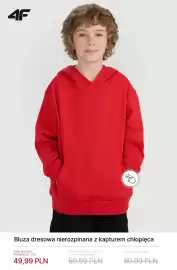 4F gazetka tydzień 11 Strona 7