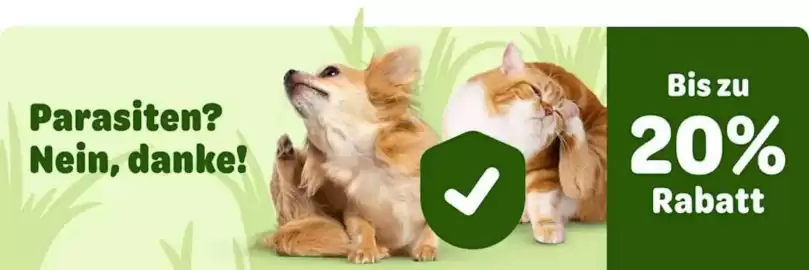 Zooplus Flugblatt woche 11 Seite 2