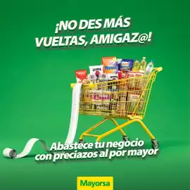 Catálogo Mayorsa semana 11 Página 1