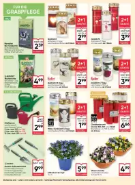 Maximarkt Flugblatt woche 11 Seite 20