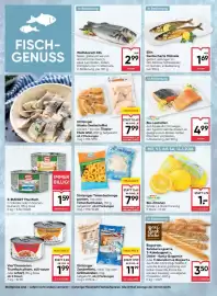 Maximarkt Flugblatt woche 11 Seite 6