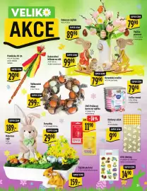 Albert leták Strana 31