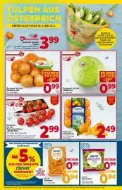 Billa Corso Flugblatt woche 11 Seite 8