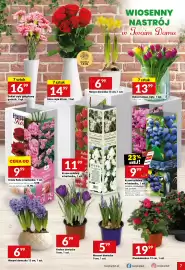 Twój Market gazetka tydzień 11 Strona 7