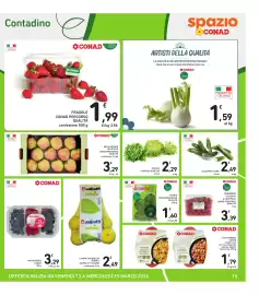 Volantino Spazio Conad Pagina 15
