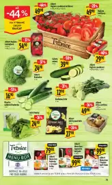 Albert leták týden 11 Strana 17