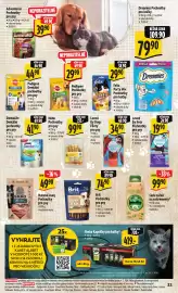 Albert leták týden 11 Strana 41