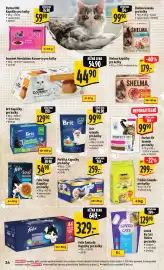 Albert leták týden 11 Strana 42