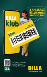 Billa leták týden 11 Strana 31