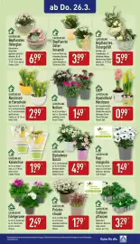 Aldi Nord Prospekt woche 13 Seite 12