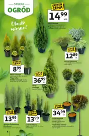 Auchan gazetka Strona 6