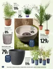 Føtex tilbudsavis Side 22