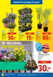 Lidl tilbudsavis Side 15