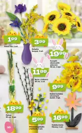 Twój Market gazetka Strona 10