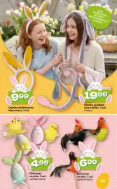 Twój Market gazetka Strona 13