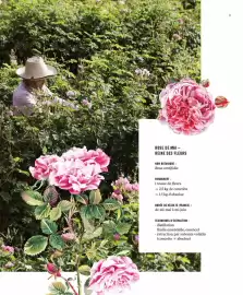 Catalogue Fragonard page 11