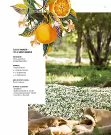 Catalogue Fragonard page 13