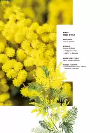 Catalogue Fragonard page 14