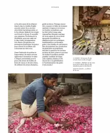 Catalogue Fragonard page 143