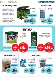 Volantino ZooPlanet Pagina 13