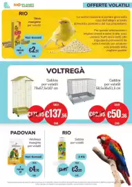 Volantino ZooPlanet Pagina 15