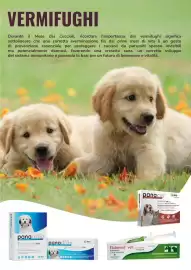 Volantino ZooPlanet Pagina 8