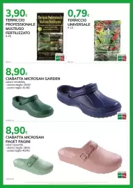 Volantino Basko Pagina 13