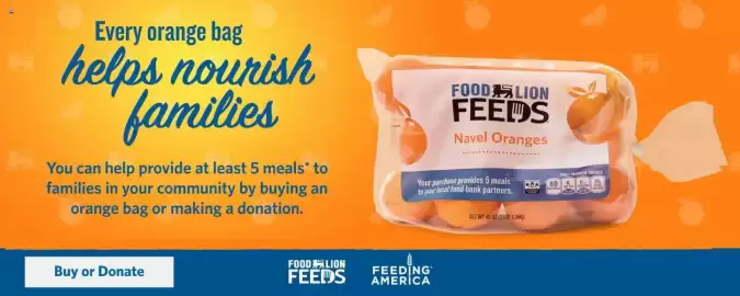 Food Lion weekly ad week 11 Page 7