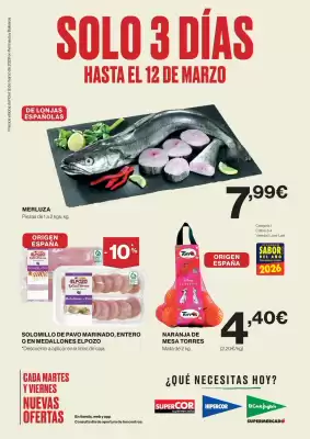 Catálogo Hipercor (válido hasta el 12-03)